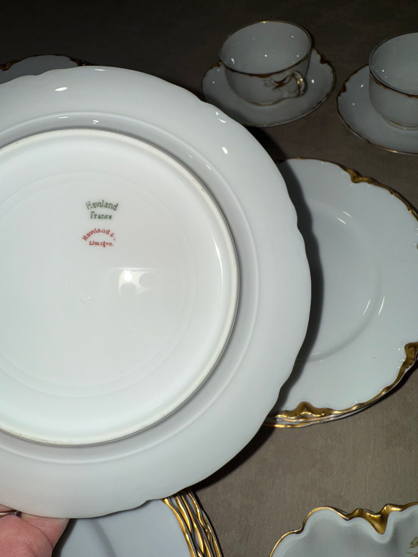 Curated European Porcelain Dinnerware Collection

Haviland Limoges · Rex Bavaria · Royal Albert Bone China