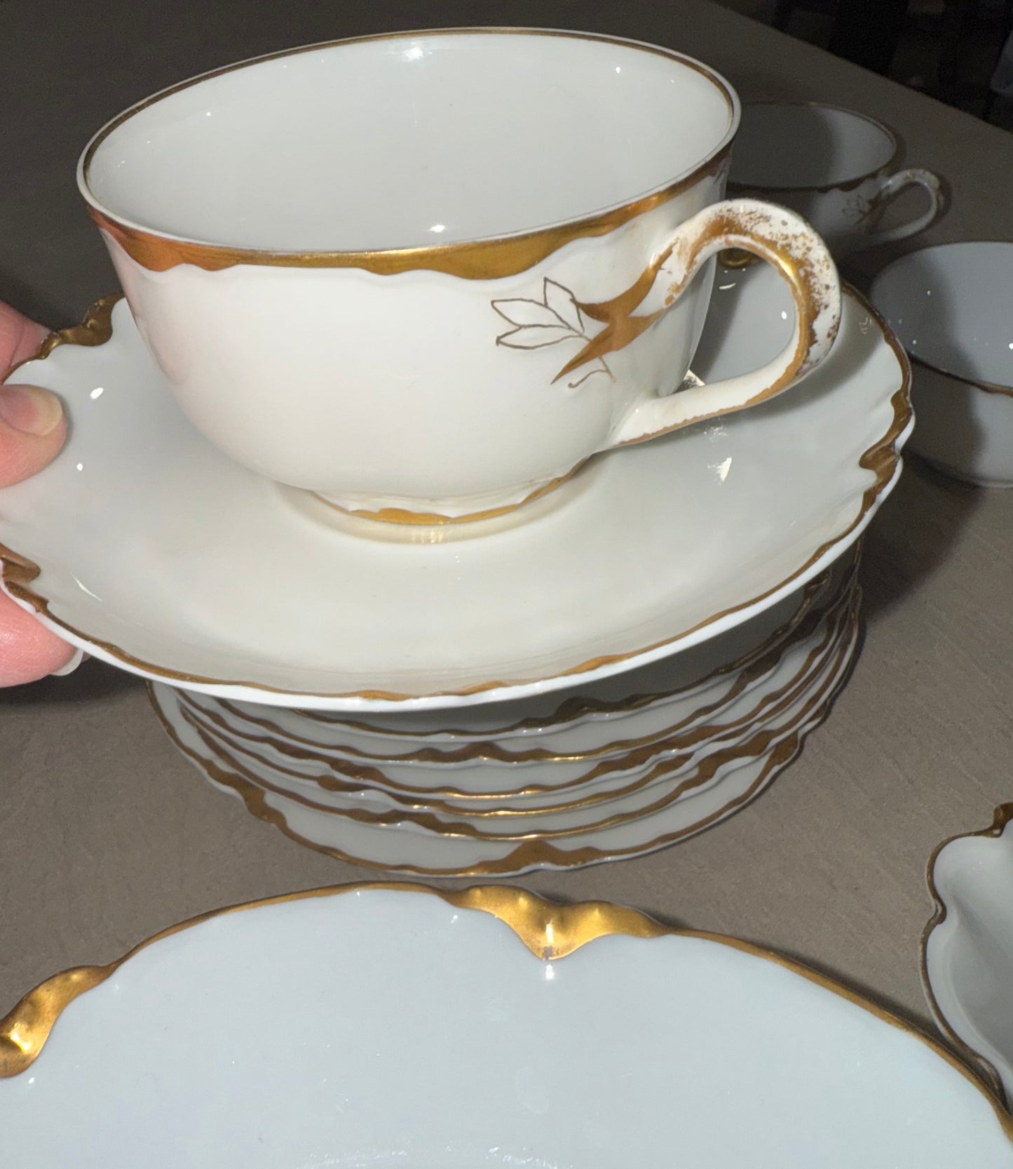 Curated European Porcelain Dinnerware Collection

Haviland Limoges · Rex Bavaria · Royal Albert Bone China